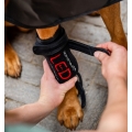 Horseware LED Red Light Therapy Pet Leg Wraps (PAIR)